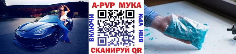 Alfa_PVP крисы CK  Благодарный 