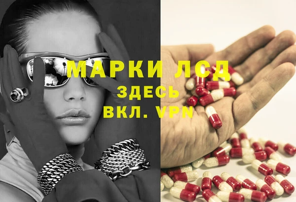 сатива Протвино