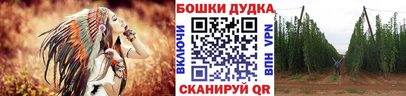 Канабис OG Kush Благодарный