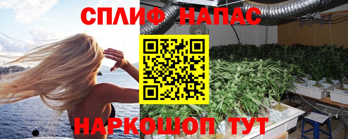Шишки марихуана тримм  Конопля тримм  Вход с VPN  Каннабис семена  Конопля SATIVA & INDICA  Благодарный 